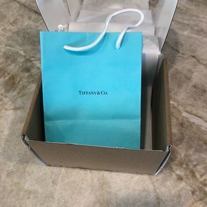 Tiffany’s Heart tag Charm and chain